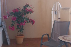IMG_20221104_130512