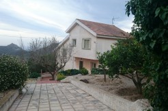 DSC_0152