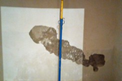 IMG-20190209-WA0011