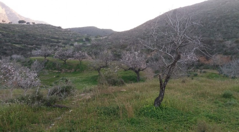 panorámica 1 cañar