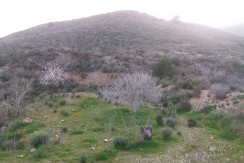 panorámica cañar 4