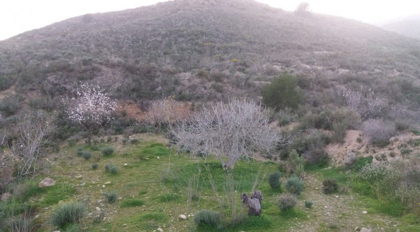 panorámica cañar 4