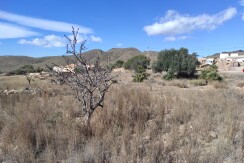 IMG-20240210-WA0005