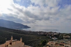 IMG-20241128-WA0010